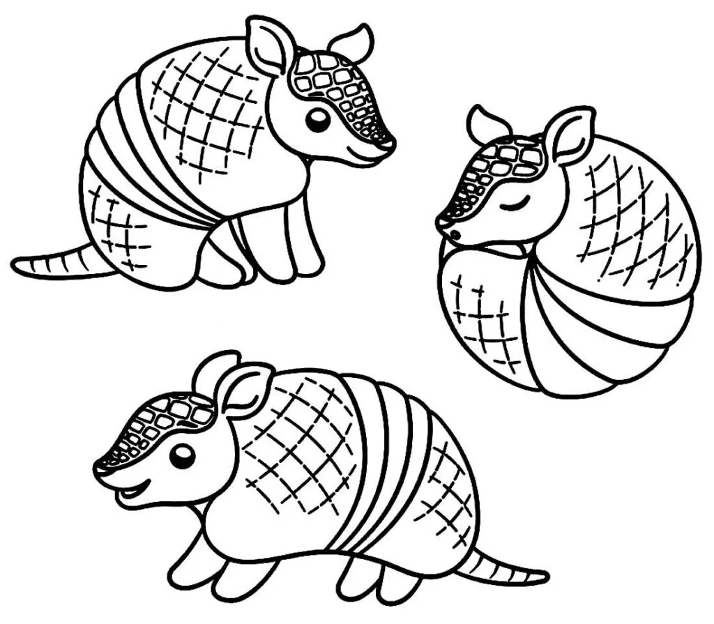 Desenho de contorno em preto e branco de três tatus estilo cartoon; um está em pé, um caminha e o terceiro está enrolado em formato de bola.