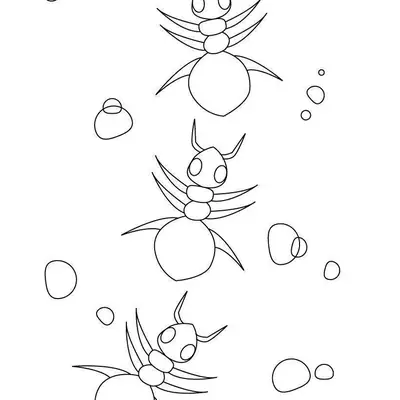 Desenho de contorno em preto e branco de três formigas simplificadas caminhando em fila indiana, cercadas por pequenas pedras ou bolhas.
