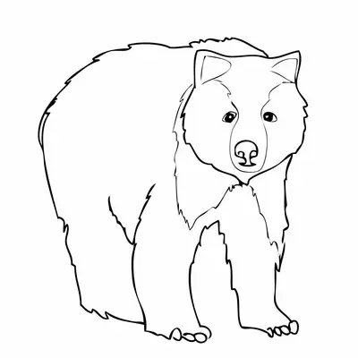 Desenho de contorno preto e branco de um urso pardo em pé de frente, com foco na sua estrutura corporal robusta e face expressiva.