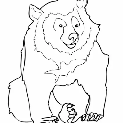 Desenho de contorno de um urso pardo sentado, com foco na cabeça peluda e patas dianteiras com garras, em estilo cartoon suave.