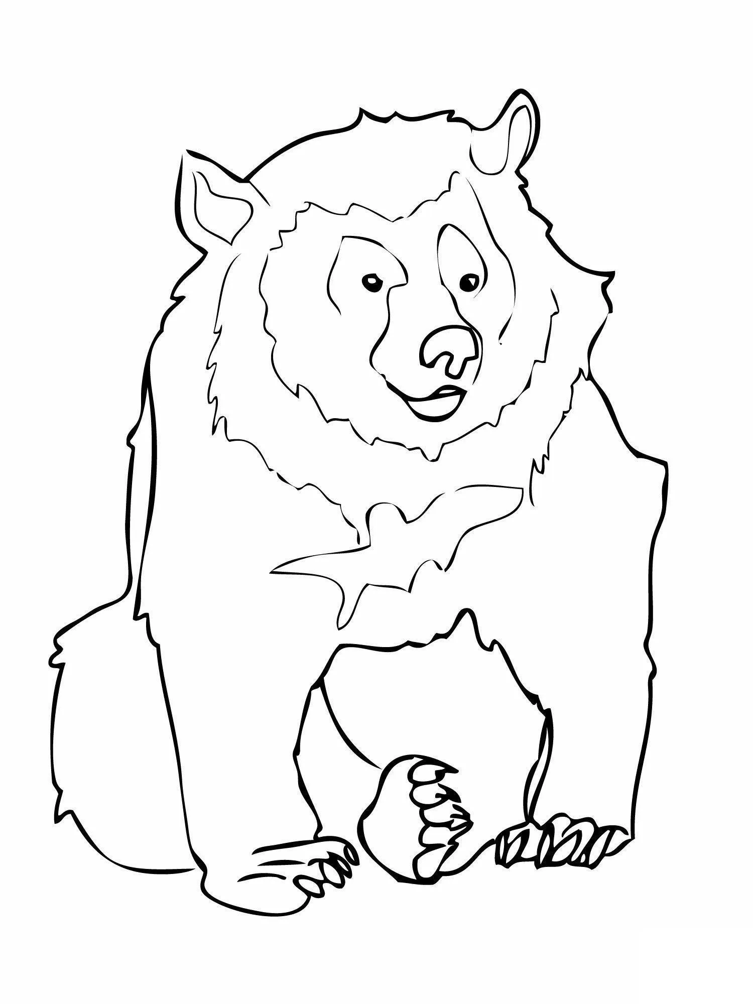 Desenho de contorno de um urso pardo sentado, com foco na cabeça peluda e patas dianteiras com garras, em estilo cartoon suave.