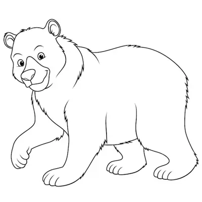 Desenho de contorno de um urso pardo de corpo inteiro, caminhando e sorrindo, com traços definidos para pintura infantil.