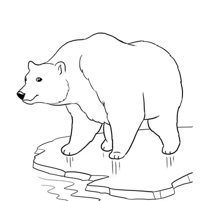 Desenho de contorno de um urso polar em pé sobre um bloco de gelo flutuando na água, com traços simples para pintura.