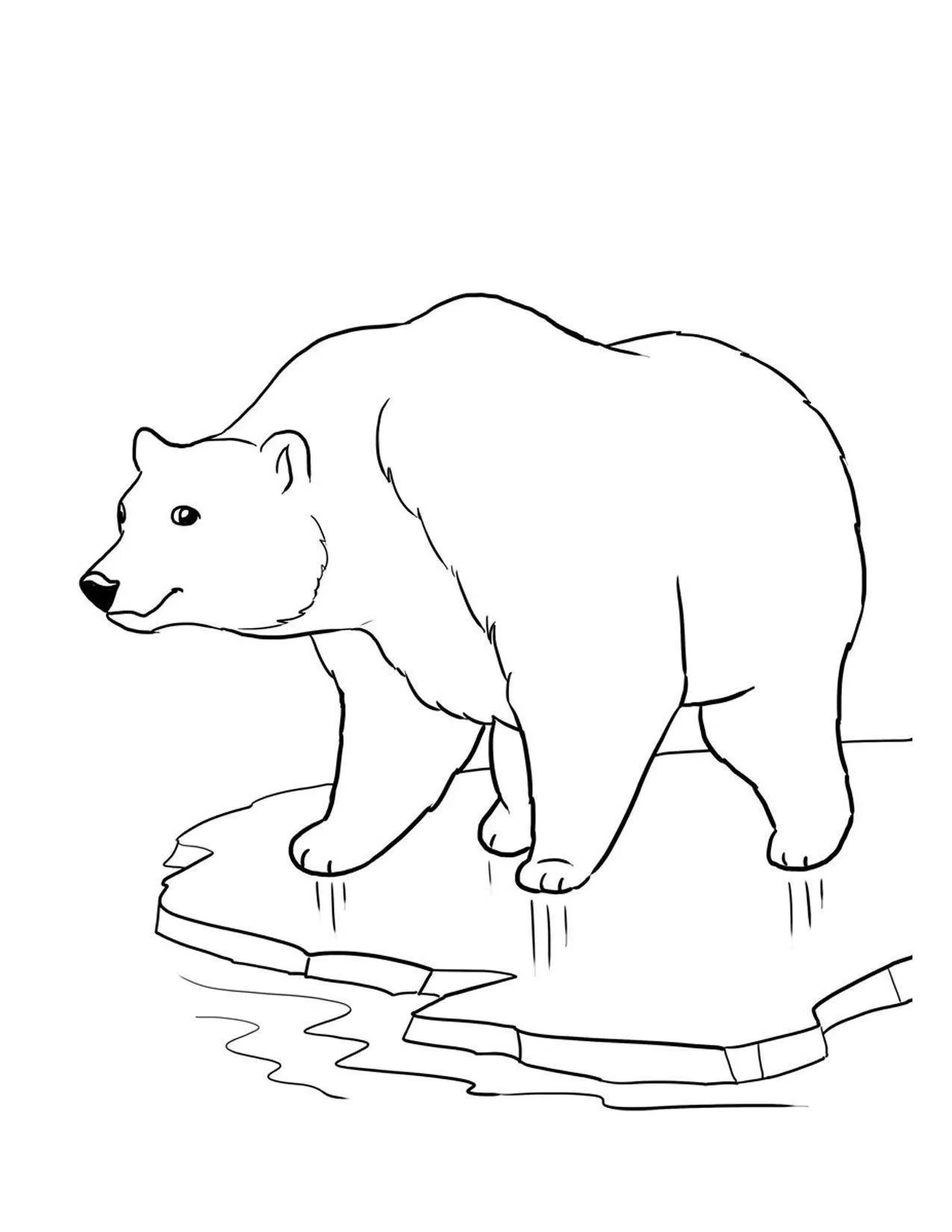 Desenho de contorno de um urso polar em pé sobre um bloco de gelo flutuando na água, com traços simples para pintura.