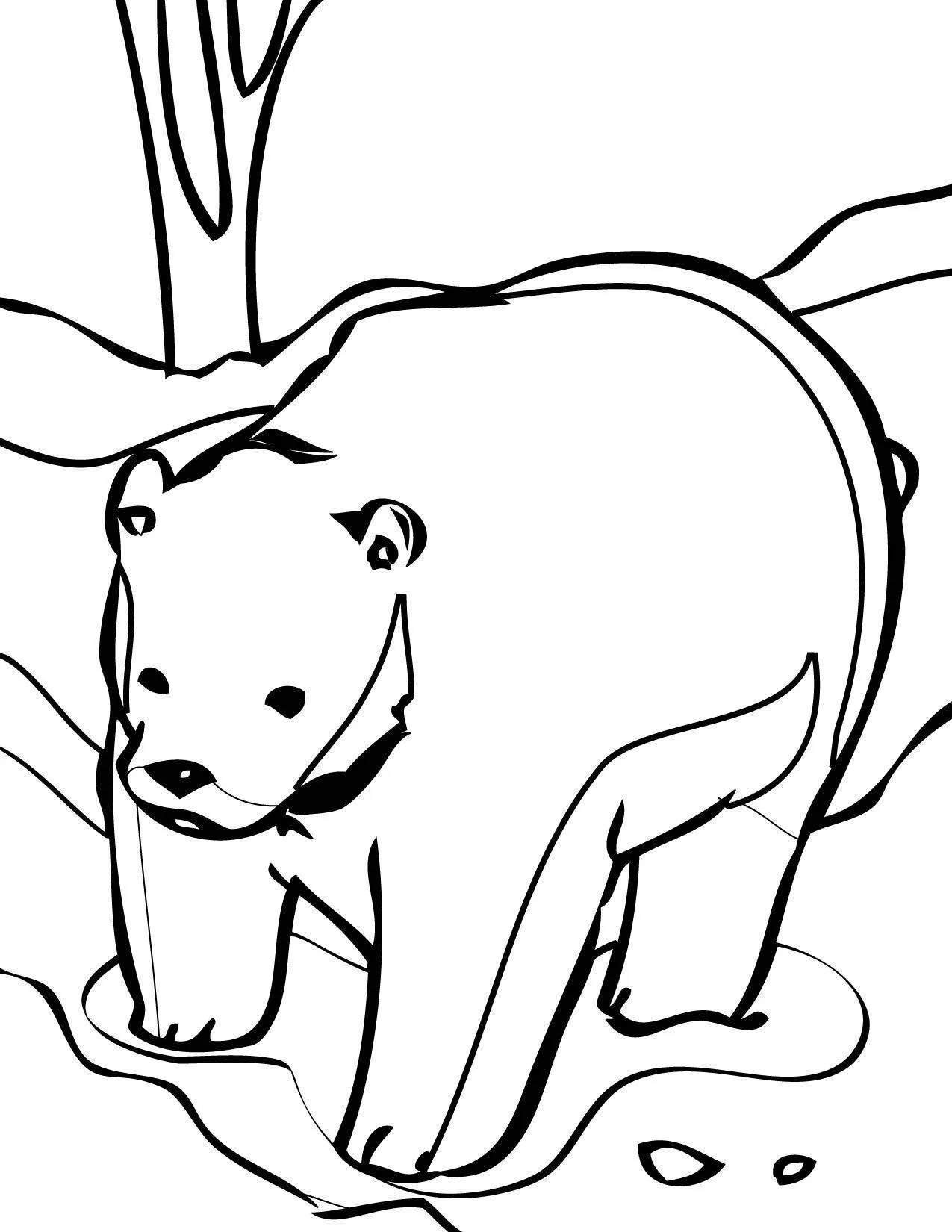 Desenho de contorno de um urso polar de corpo inteiro, caminhando sobre gelo e neve, com traços pretos marcantes para pintura.