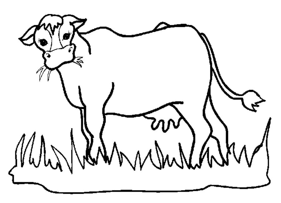 Desenho de contorno de uma vaca de perfil com grama na boca, em pé sobre um gramado, estilo realista simples.