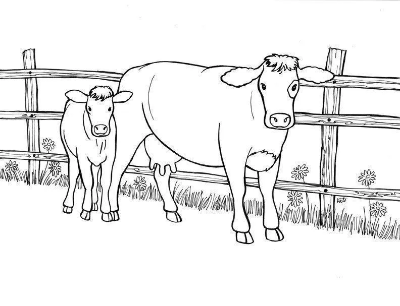 Desenho de contorno realista de uma vaca e um bezerro em pé diante de uma cerca de madeira com flores no gramado.