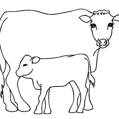 Desenho de contorno simples de uma vaca grande e um bezerro pequeno ao seu lado, ambos sem manchas, em um fundo branco.
