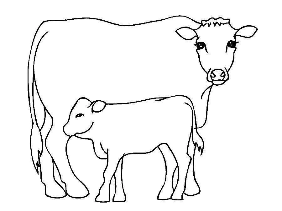 Desenho de contorno simples de uma vaca grande e um bezerro pequeno ao seu lado, ambos sem manchas, em um fundo branco.