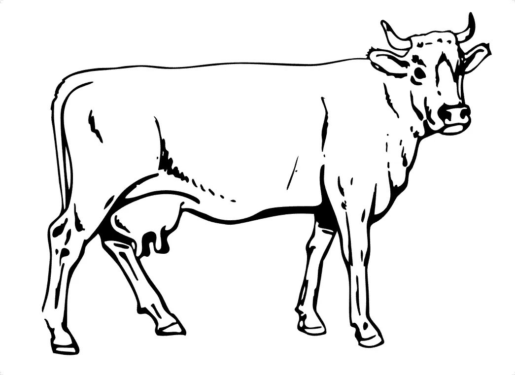 Desenho de contorno de uma vaca adulta vista de perfil, com úbere visível, chifres pequenos e corpo liso para criar manchas.