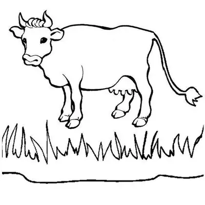 Desenho de contorno de uma vaca adulta em pé sobre grama alta, com chifres pequenos e corpo sem manchas, em estilo realista.